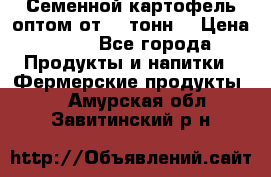 Семенной картофель оптом от 10 тонн  › Цена ­ 11 - Все города Продукты и напитки » Фермерские продукты   . Амурская обл.,Завитинский р-н